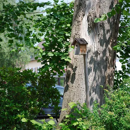 Boutique-hotel Krone 3* Denzlingen