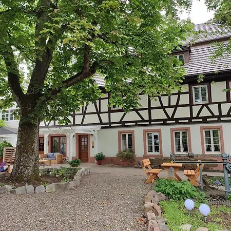 Boutique-hotel Krone 3* Denzlingen