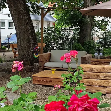 Boutique-hotel Krone 4* دينزلينغين