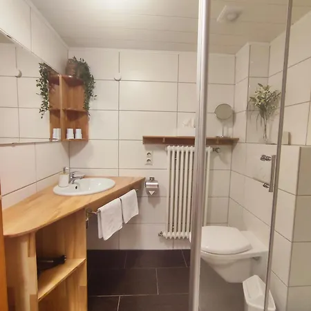 Boutique-hotel Krone فندق مبيت وإفطار دينزلينغين