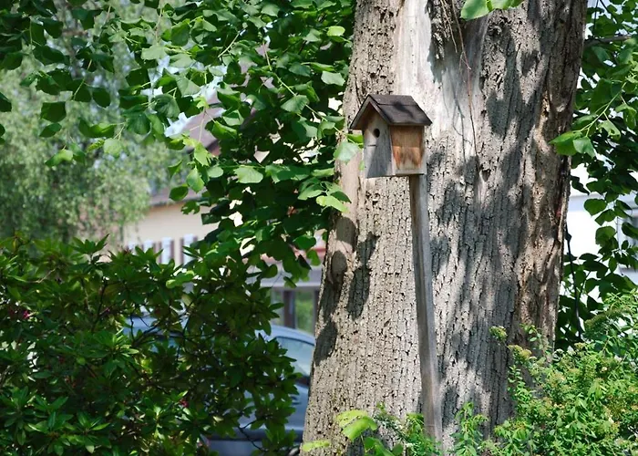 Boutique-hotel Krone 3* Denzlingen