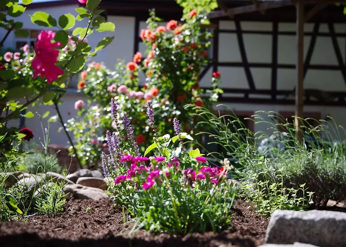 Boutique-hotel Krone 3* Denzlingen