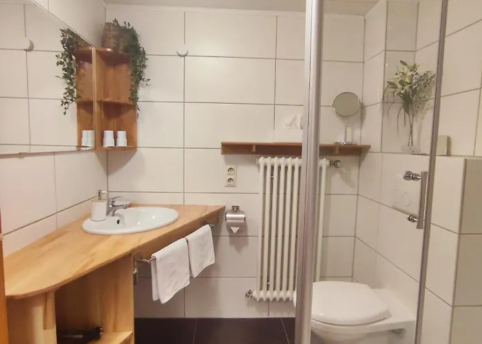 Boutique-hotel Krone Alojamento de Acomodação e Pequeno-almoço Denzlingen